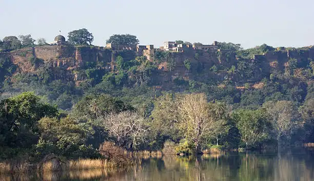 A ticket counter near the fort entrance, relevant to checking Ranthambore Fort ticket price before entry