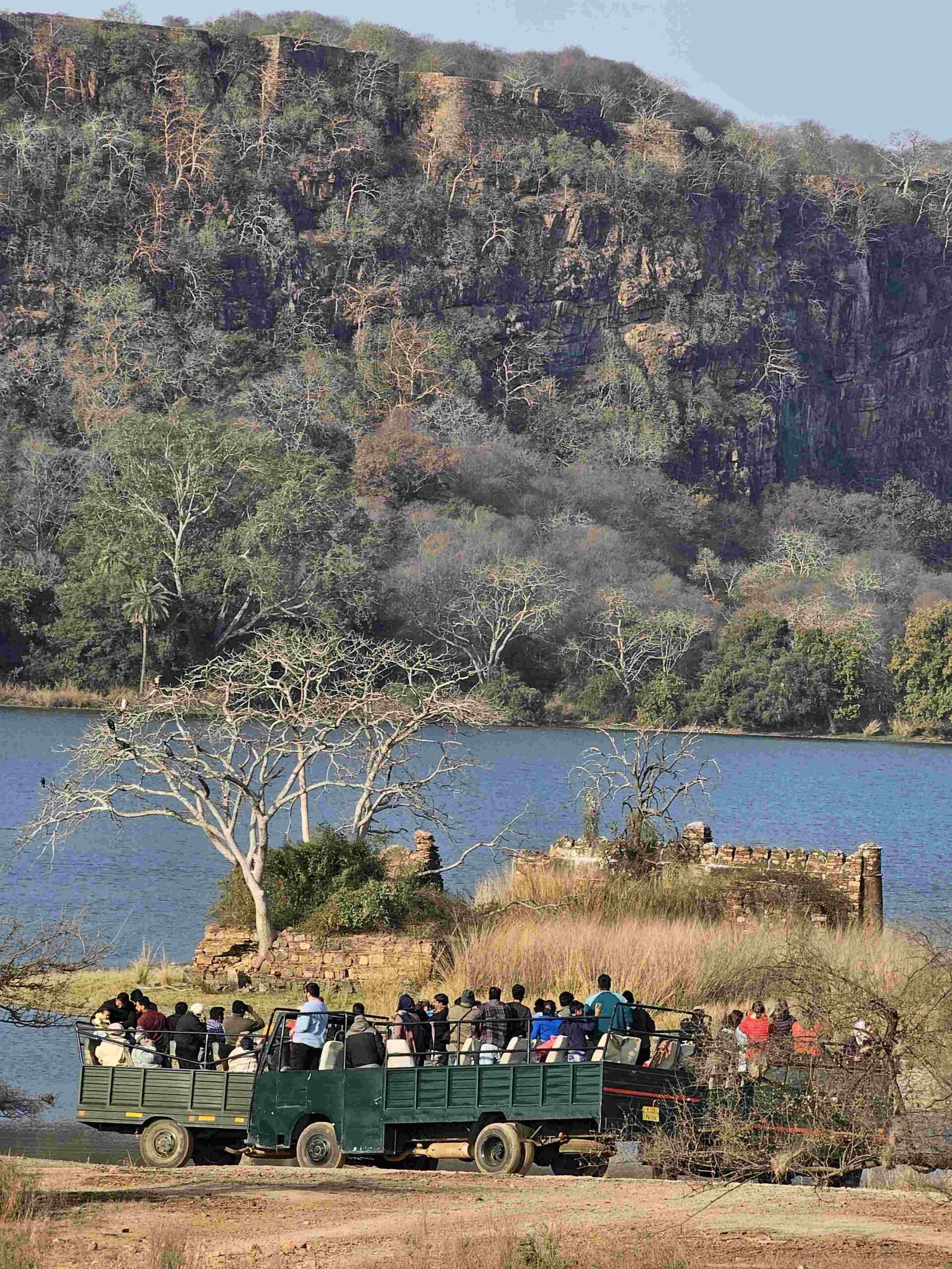 Canter Safari Ranthambore experience inside the tiger reserve forest area