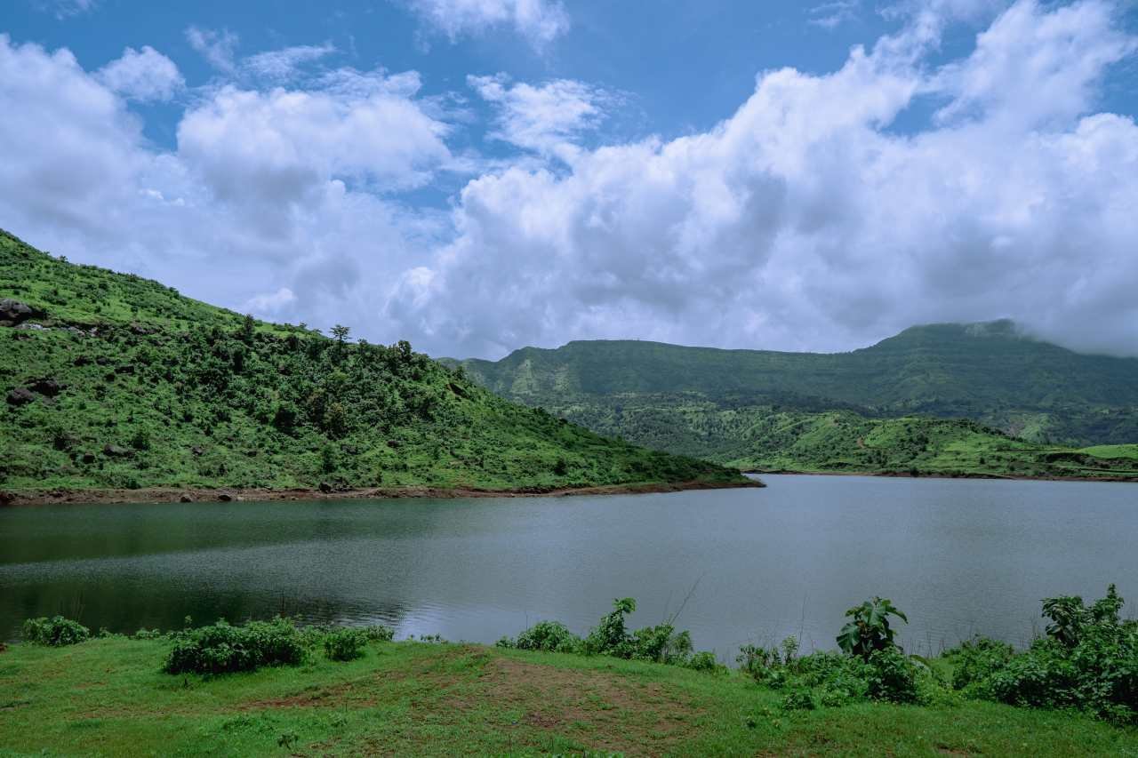 Migratory birds resting along the shoreline of Soorwal Dam near Ranthambore National Park