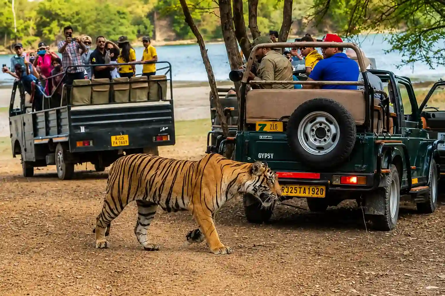 Canter safari vehicle at Ranthambore National Park entrance showing group safari seating