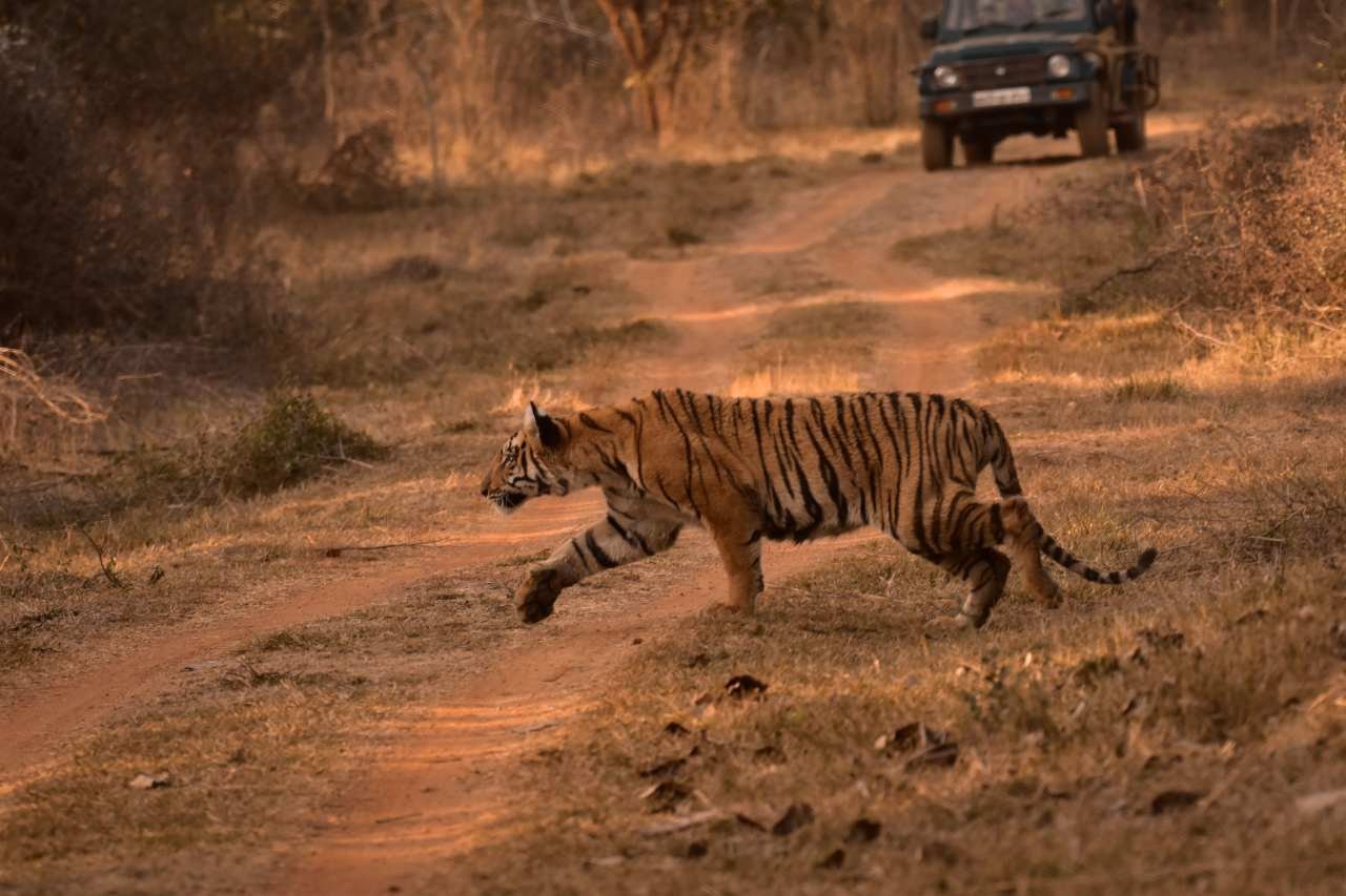 Sawai Madhopur railway station, the main train gateway to Ranthambore National Park