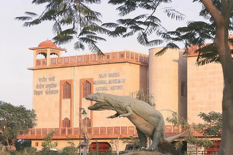 Wildlife gallery displaying animals and habitats from Ranthambore Tiger Reserve