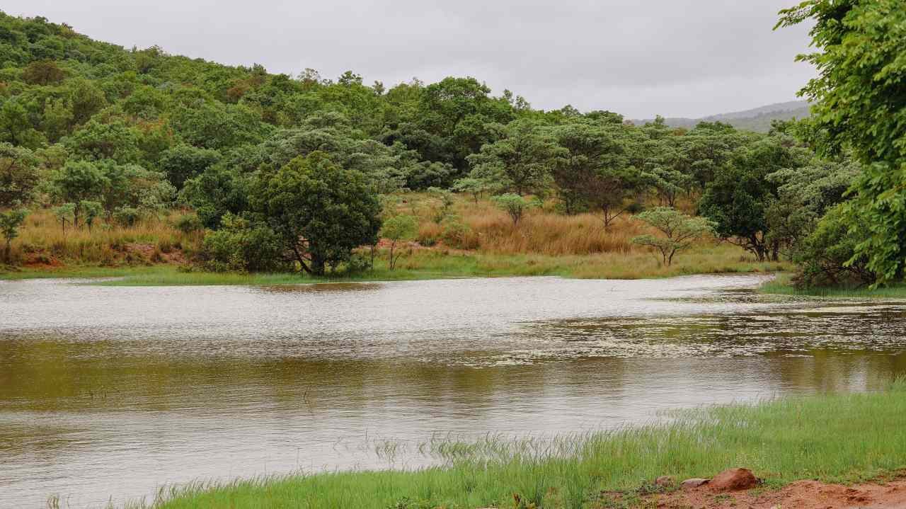 Peaceful view of Soorwal Dam near Ranthambore surrounded by wetlands and natural beauty