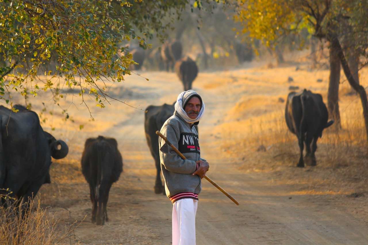 Local artisans creating handmade crafts in a Ranthambore village