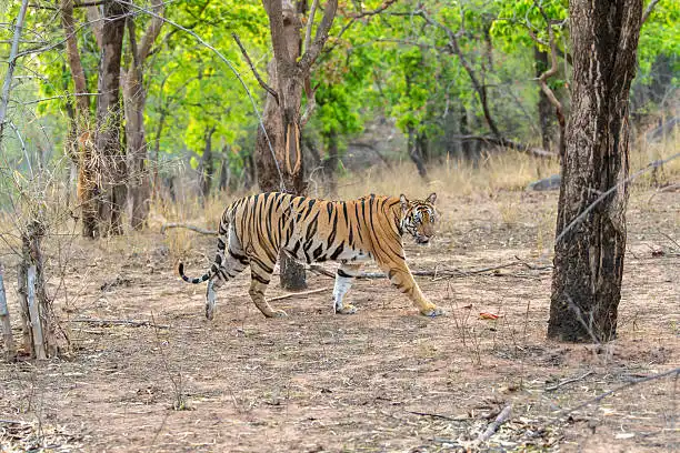 A ticket counter near the entry gate, relevant to checking Madhav Tiger Reserve safari charges & ticket price