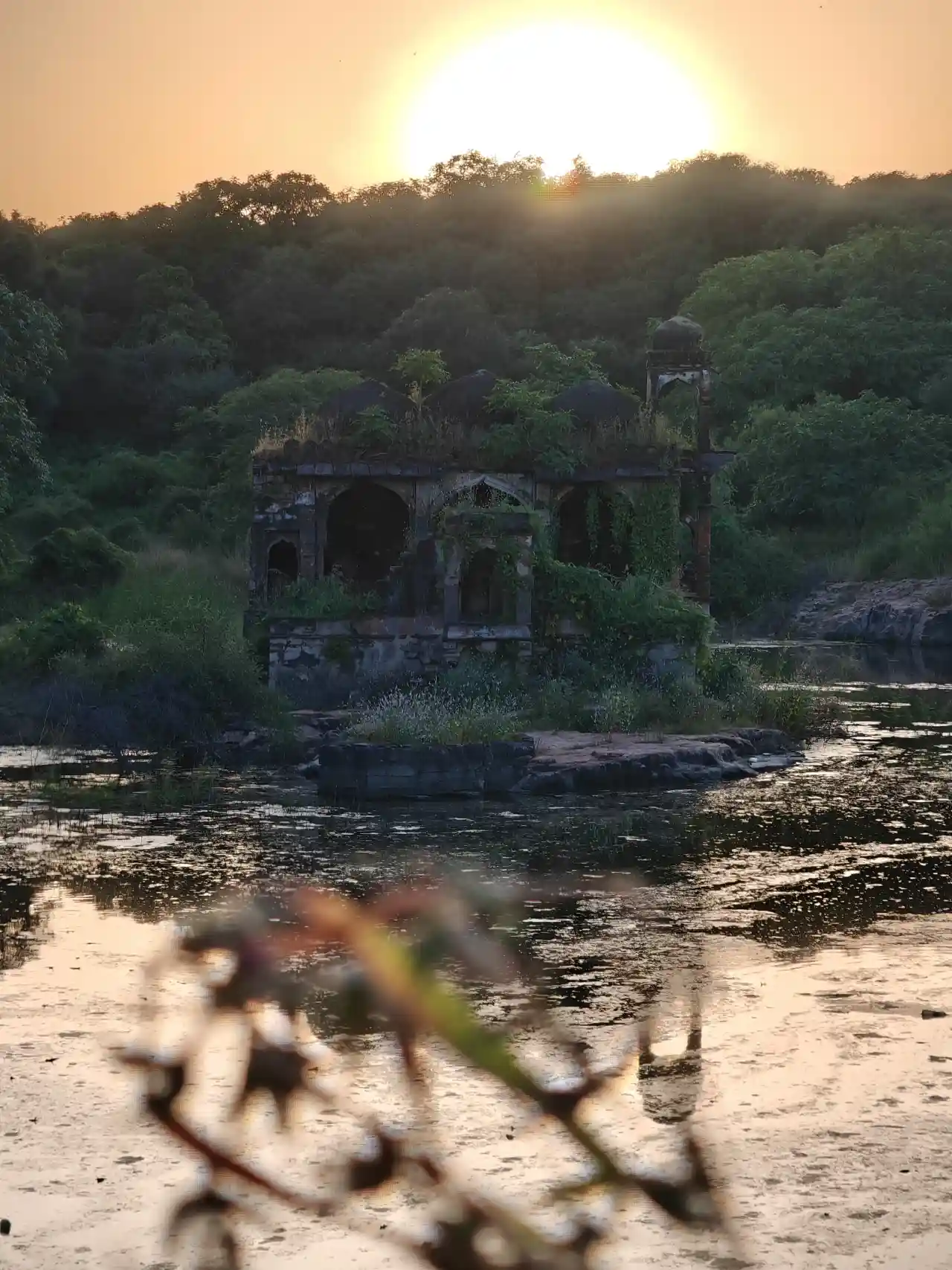 Weathered gateway showing centuries of Ranthambore Fort history in its carved stonework